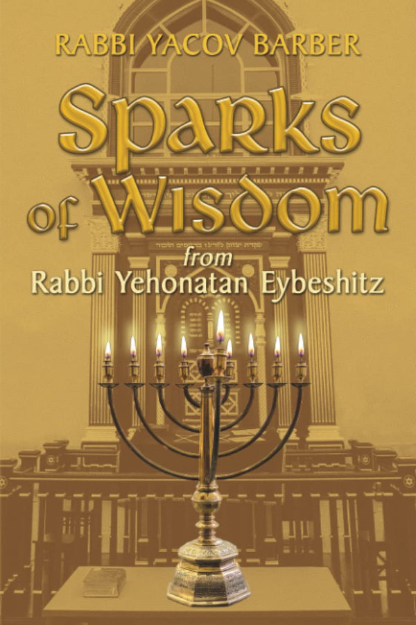 Sparks of Wisdom From Rabbi Yehonatan Ey