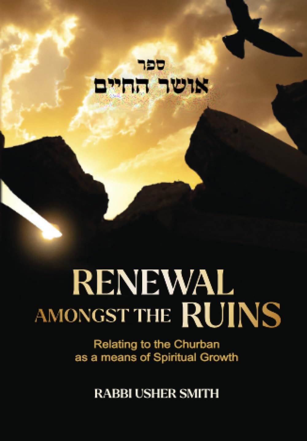 Renewal Amongst the Ruins