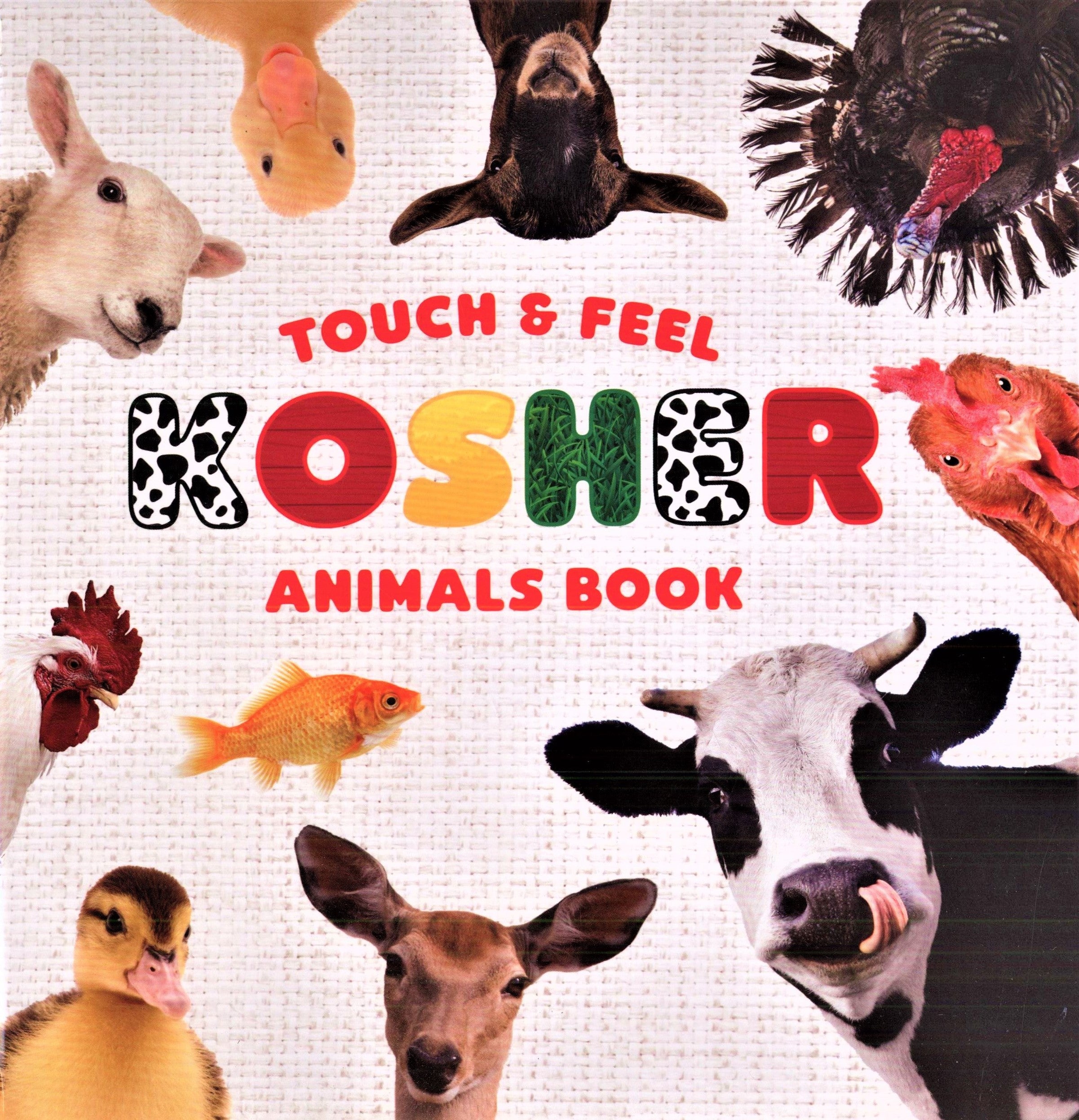 Touch & Feel Kosher Animals Book