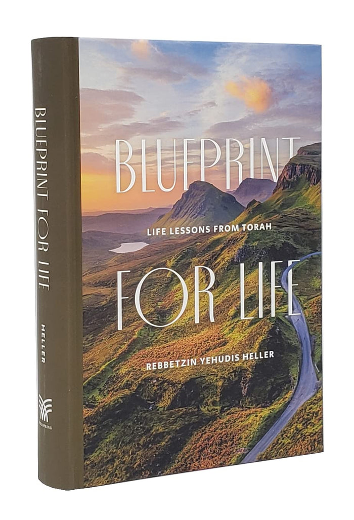 Blueprint For Life