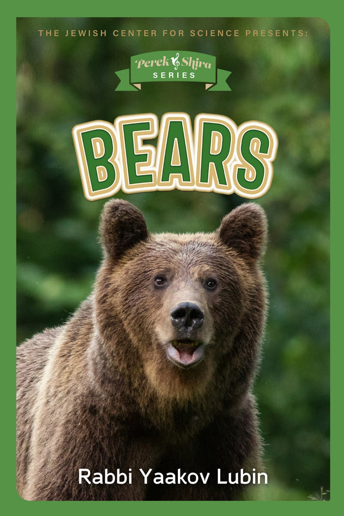 Perek Shira Series: Bears — illustrated children's book by Rabbi Yaakov Lubin | Judaica Square Lakewood