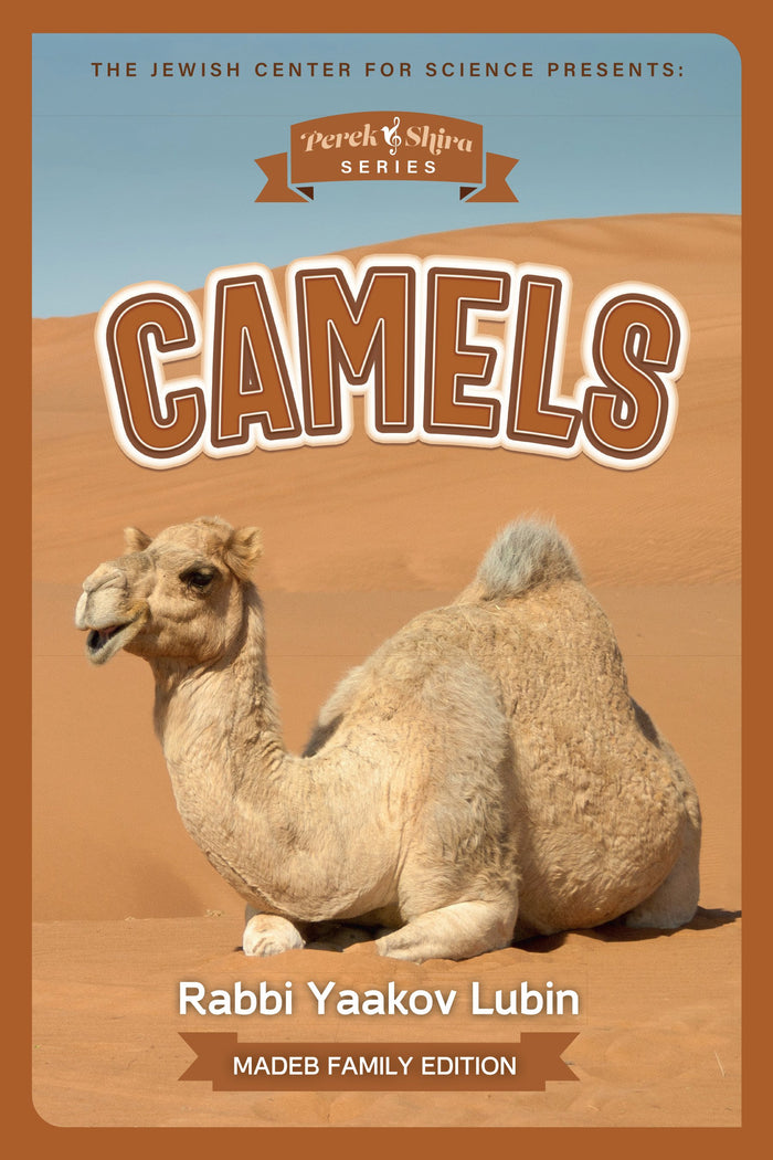 Perek Shira Series: Camels — illustrated children's book by Rabbi Yaakov Lubin | Judaica Square Lakewood