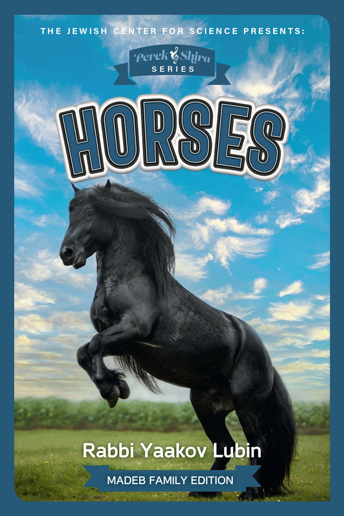 Perek Shira Series: Horses — illustrated children's book by Rabbi Yaakov Lubin | Judaica Square Lakewood