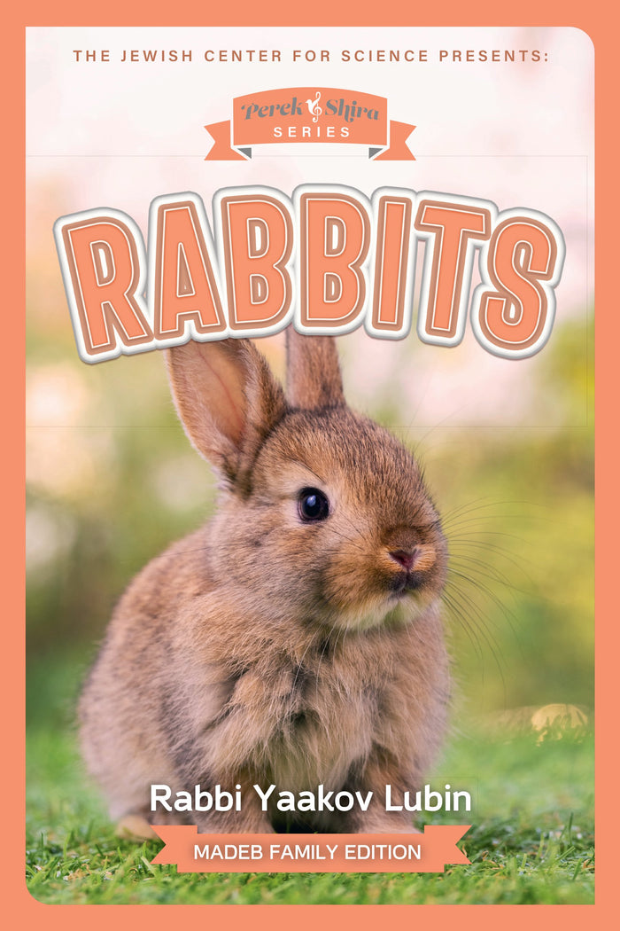 Perek Shira Series: Rabbits — illustrated children's book by Rabbi Yaakov Lubin | Judaica Square Lakewood