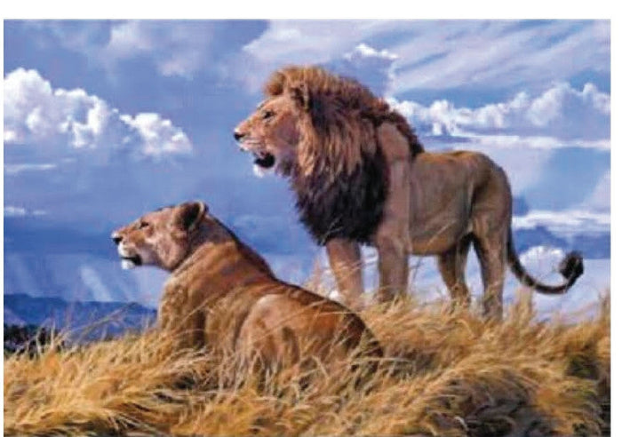 4D Poster 20" x 28"-- Lions (P98902)