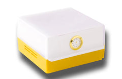 Shabled Shabbos Lamp:Nugget Gold/White Body: Gold Clock