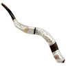 Yemenite Shofar: Large With Silvered Des