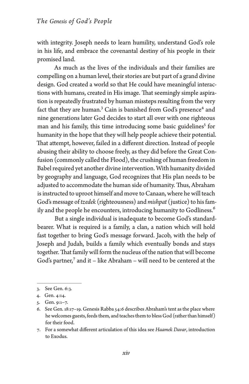Exodus: The Genesis of God's People, additional image 8 of 10