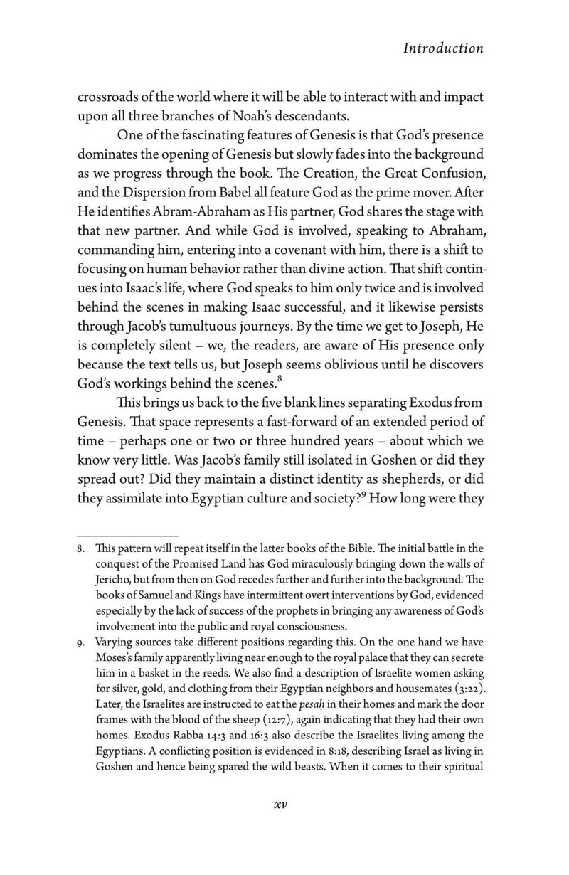 Exodus: The Genesis of God's People, additional image 9 of 10