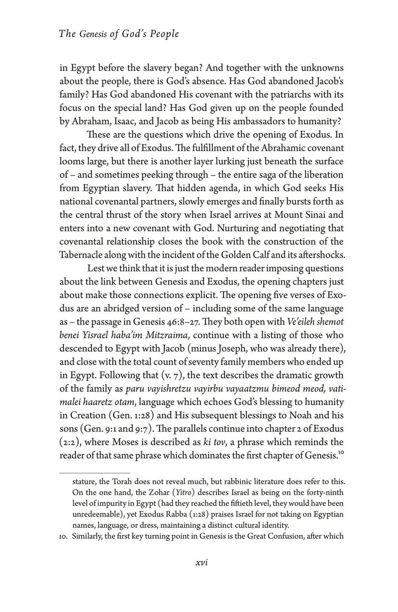 Exodus: The Genesis of God's People, additional image 10 of 10