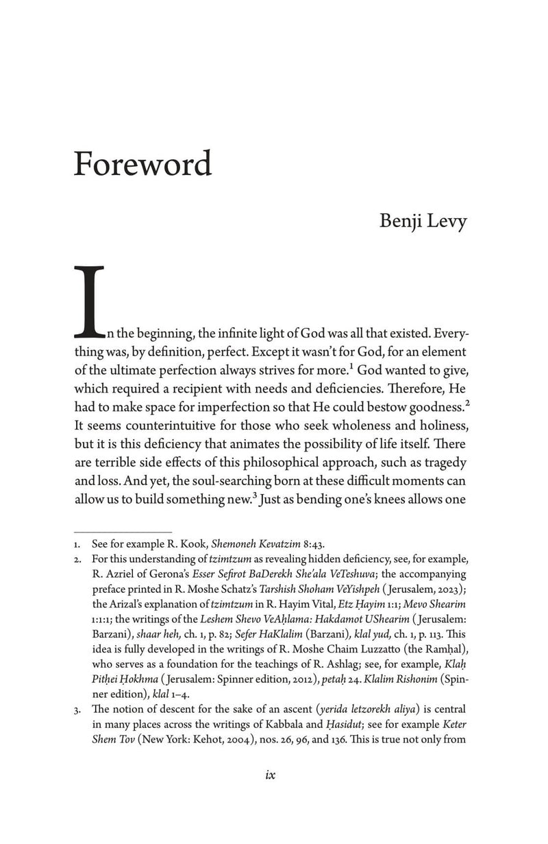 Introduction To The Zohar, additional image 8 of 10
