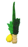 Lulav & Esrog For Kids