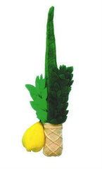 Lulav & Esrog For Kids