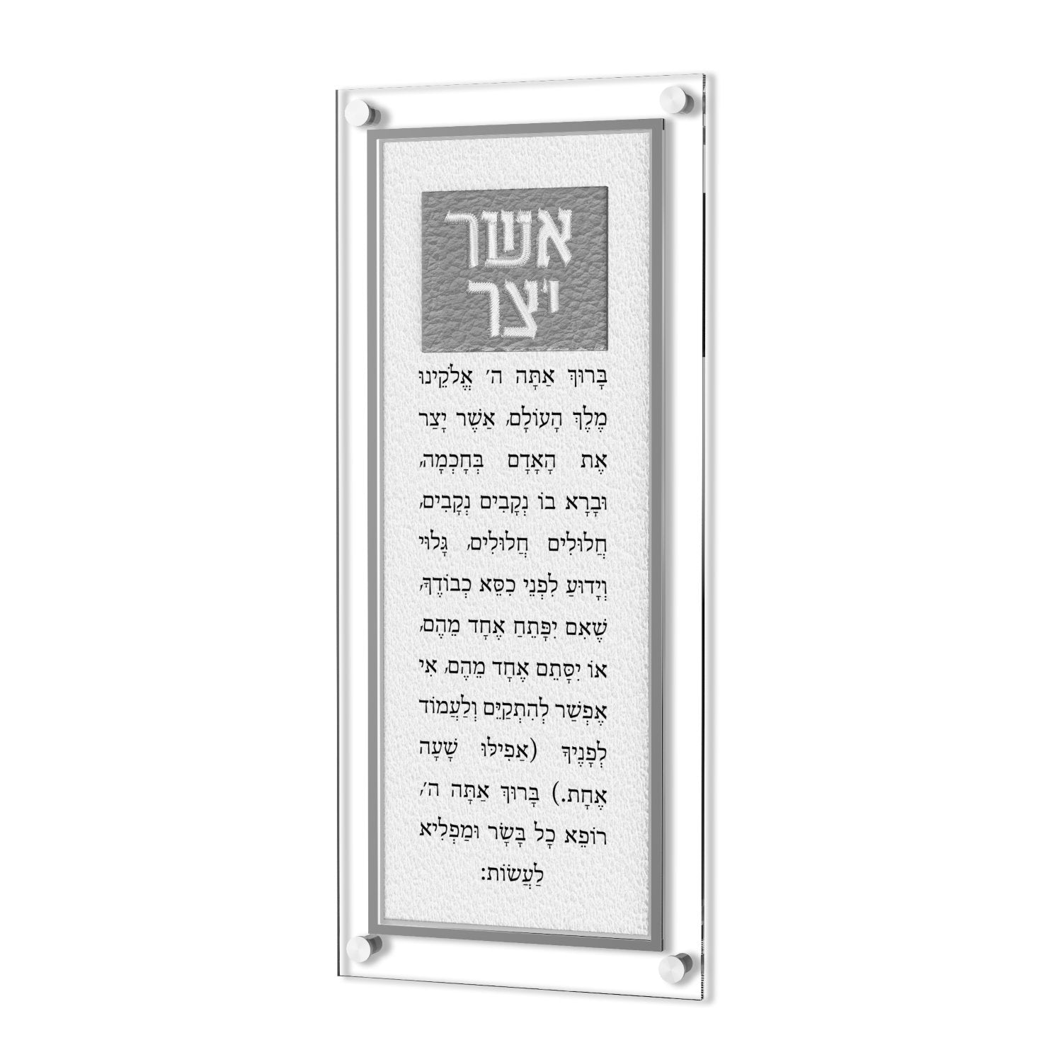 https://cdn.shopify.com/s/files/1/0789/3647/3885/files/AYL02SUS.jpg?v=1738608060