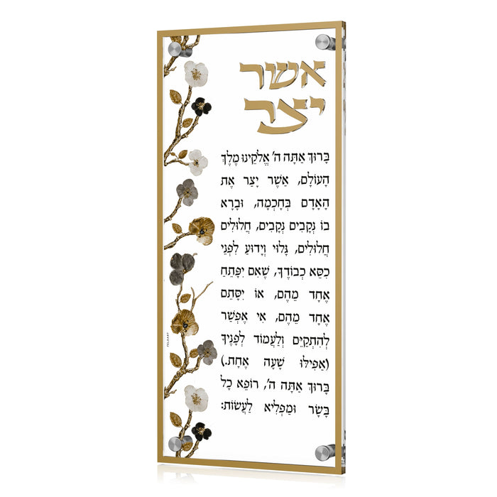Ornate Garden Asher Yatzar — Card — clear lucite panel with raised 3D lettering and floral border | Judaica Square Lakewood