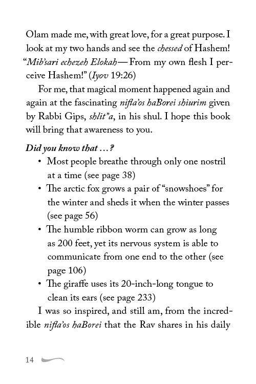 Adon Hanifla'os 2 — Judaica Press (image 7)