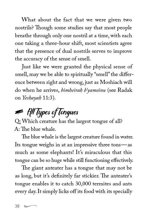 Adon Hanifla'os 2 — Judaica Press (image 9)