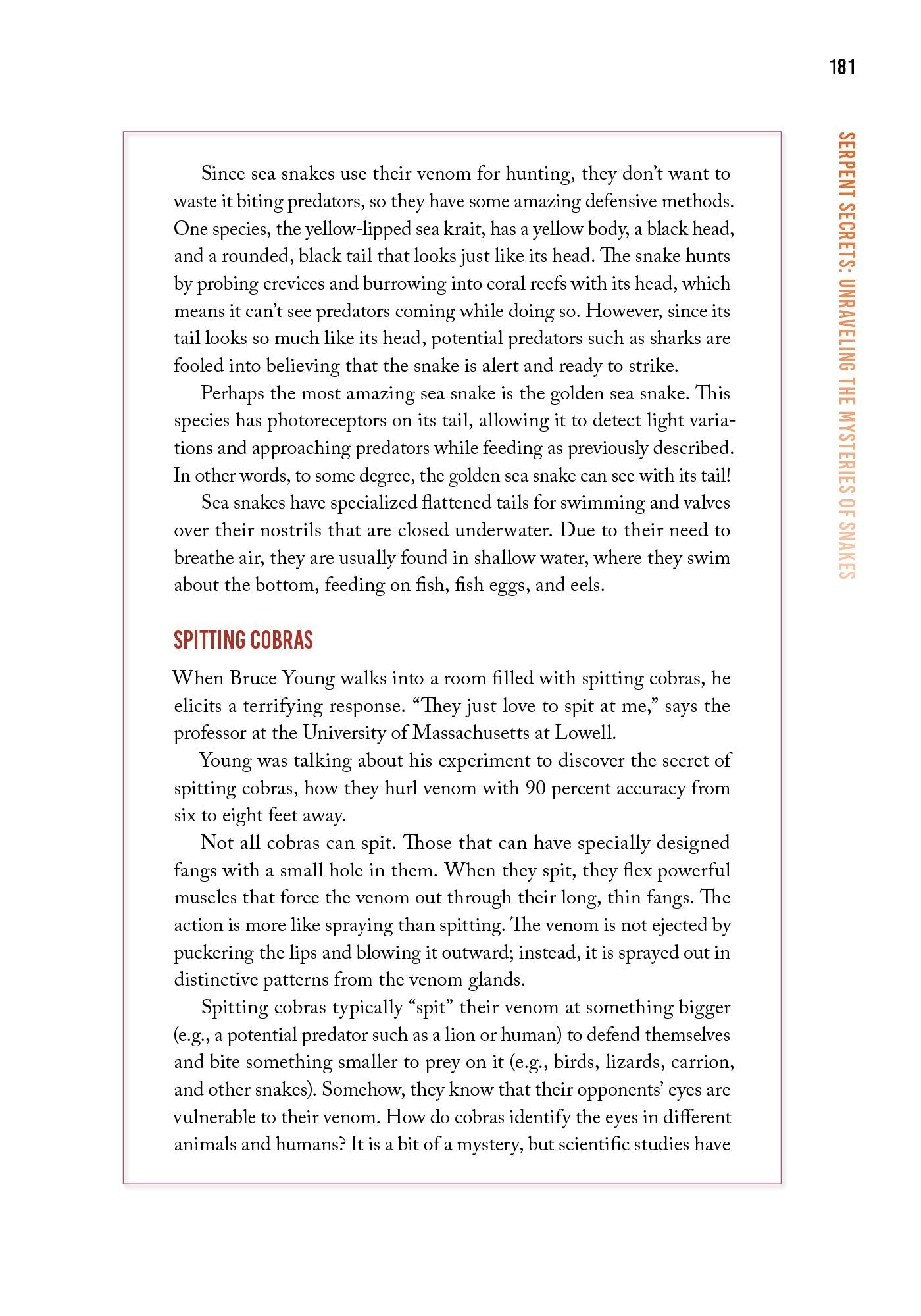 Awaken Your Emunah 2 by Yaakov Astor — Judaica Press (image 6)