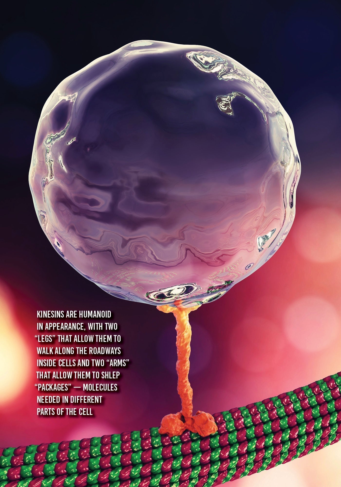 Awaken Your Emunah 2 by Yaakov Astor — Judaica Press (image 2)