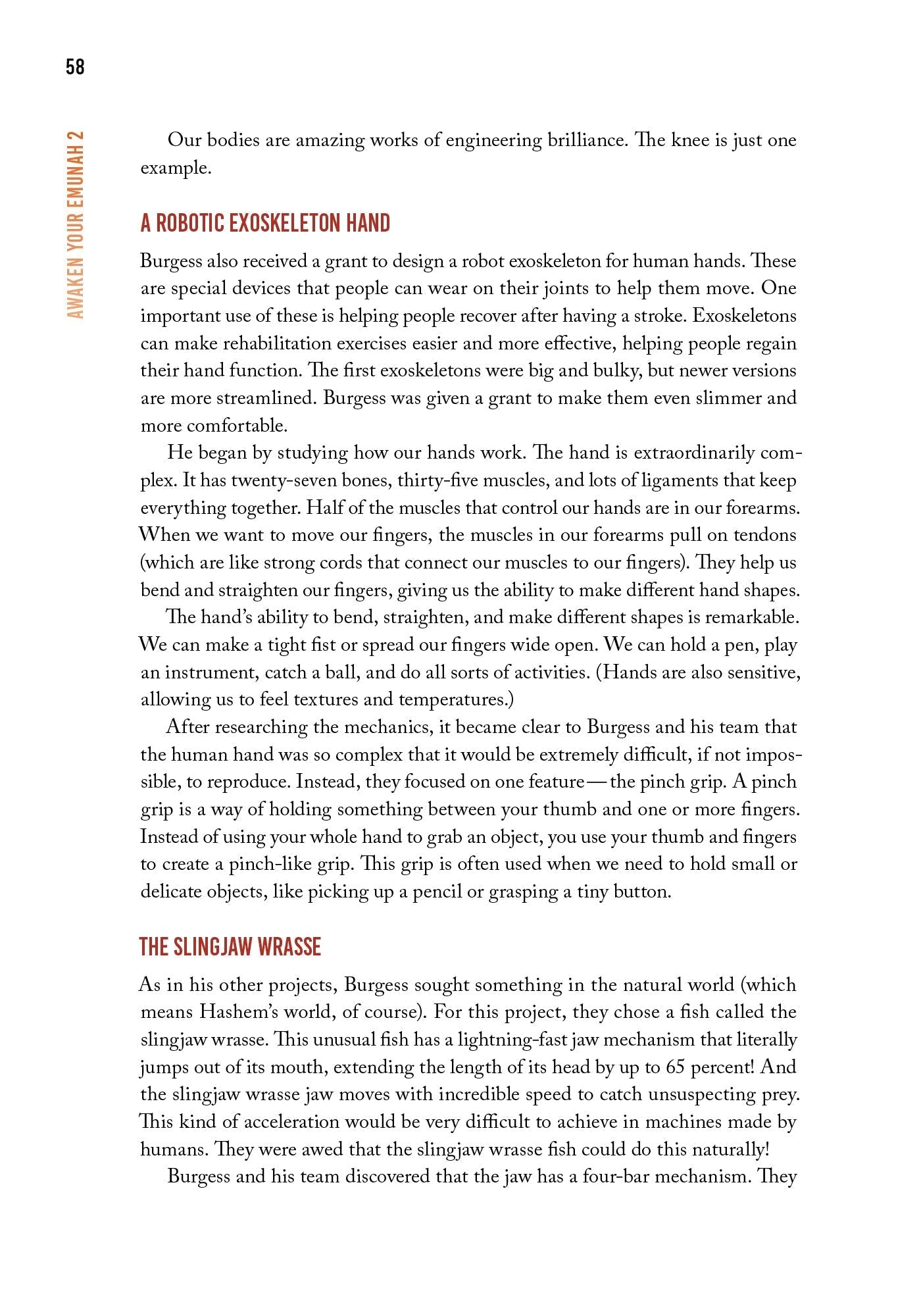 Awaken Your Emunah 2 by Yaakov Astor — Judaica Press (image 4)