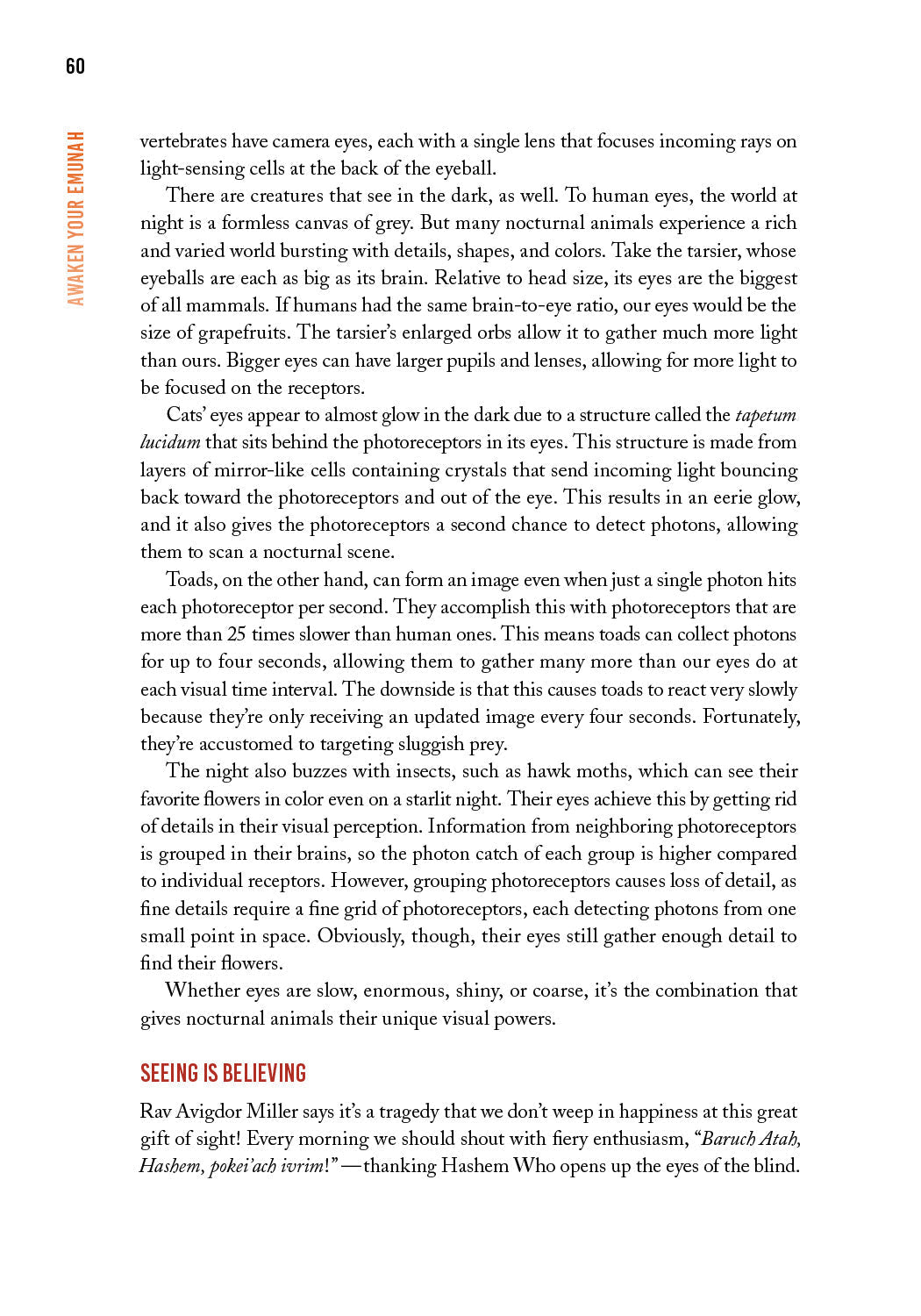 Awaken Your Emunah by Yaakov Astor — Judaica Press (image 6)