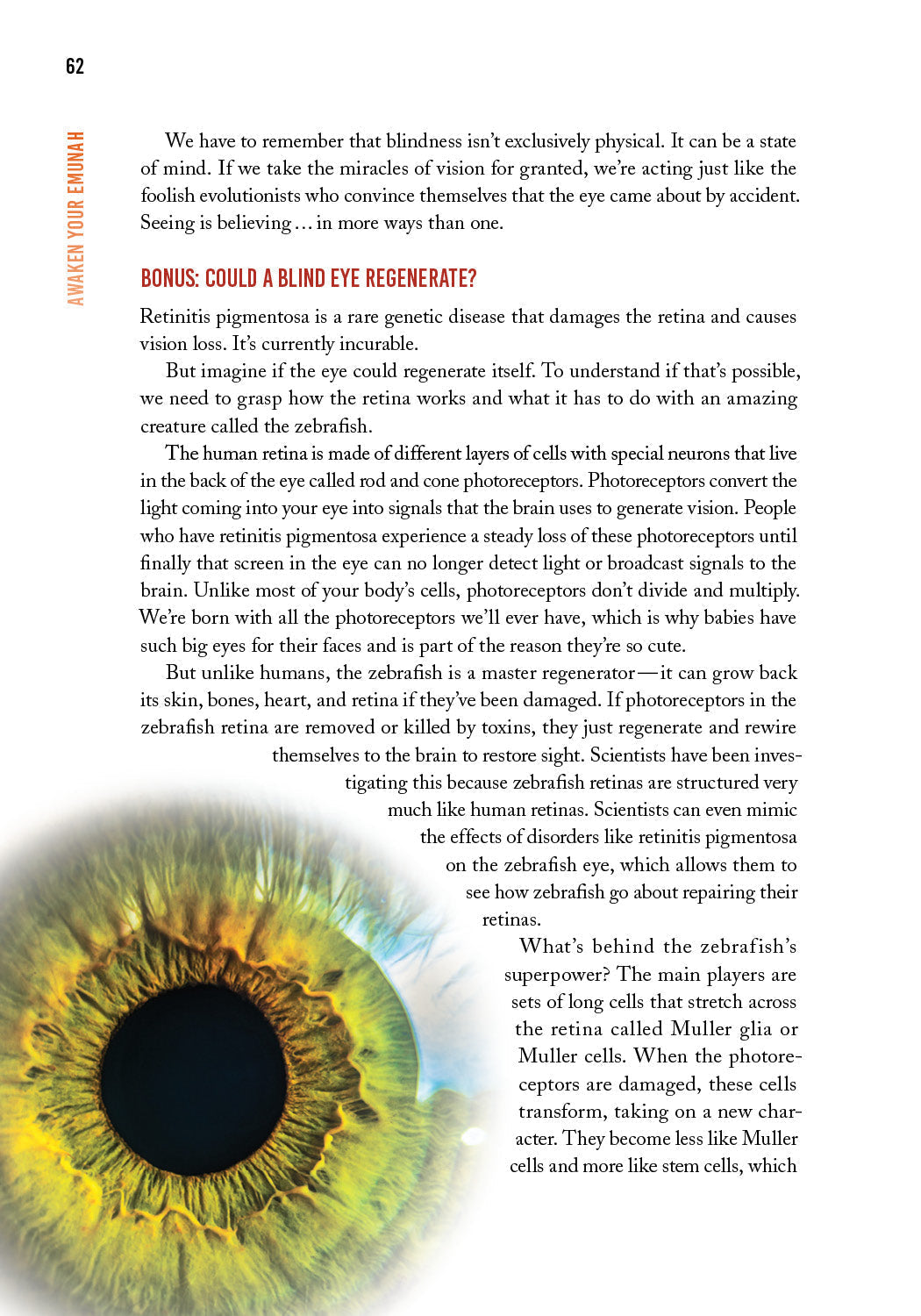 Awaken Your Emunah by Yaakov Astor — Judaica Press (image 8)