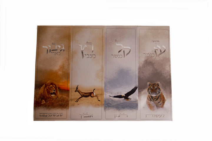 Laminated Poster 20" x 28"