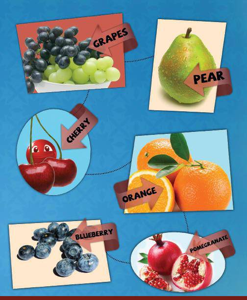 My First Brachos Board Book — Judaica Press (image 5)
