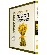 המשנה המבוארת מסכת שביעית HaMishna HaMivoeret Shvi'it Steinsaltz (BK-MMMS)