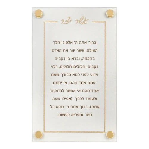 BT Shalom Collection: Faux Leather Asher