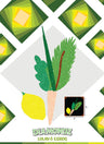 Diamondz Lulav and Esrog — Craft Kit by BZ Kinder | Judaica Square Lakewood