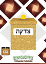 Diamondz Tzedakah — Craft Kit by BZ Kinder | Judaica Square Lakewood