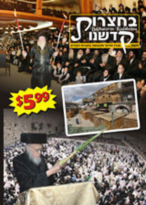 Bechatzros Kodsheinu - Vol 17 5768 Cheshvan (DVD) — Jewish music DVD | Judaica Square Lakewood
