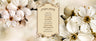 Crystal Crafts Birchas Habayis — Craft Kit by Chazak Kinder | Judaica Square Lakewood