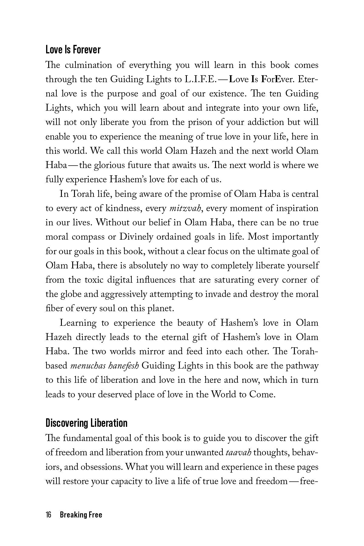 Breaking Free by Shaya Ostrov — Judaica Press (image 5)