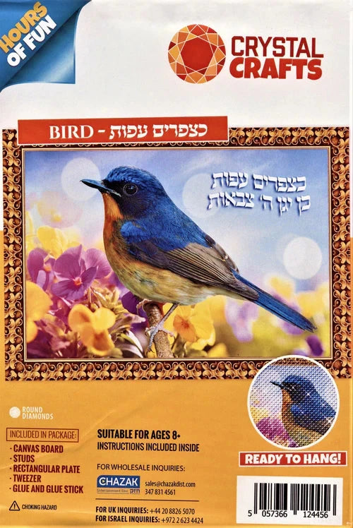 Crystal Crafts Bird — Craft Kit by Chazak Kinder | Judaica Square Lakewood