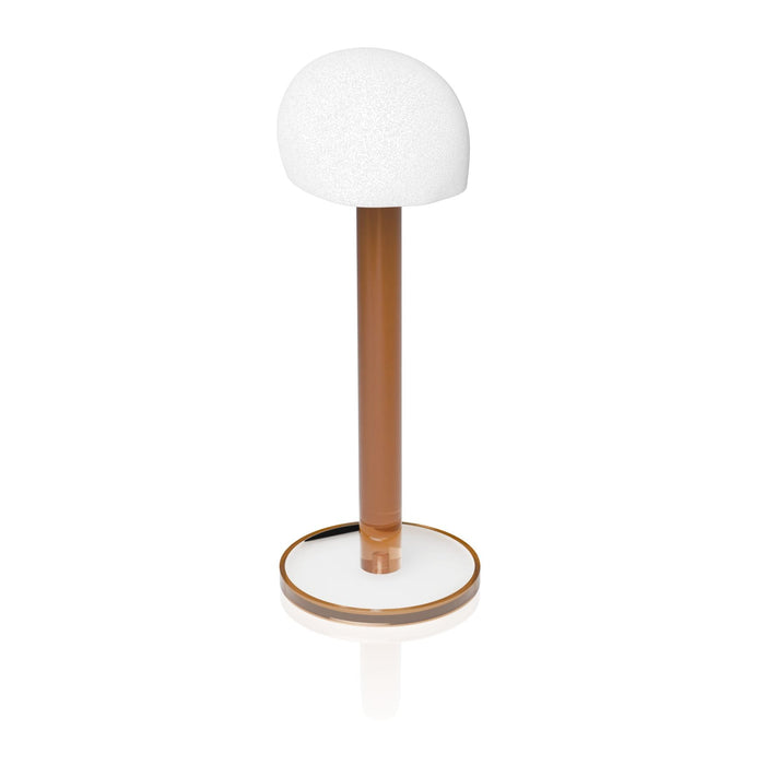 Translucent Wig Head — Acrylic | Judaica Square Lakewood