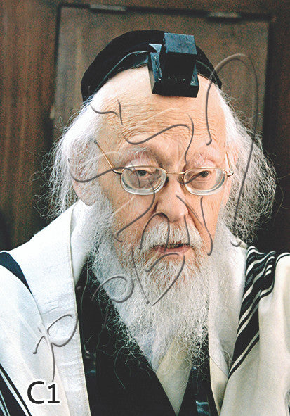 Rav Elyashiv 20" x 28" Framed Canvas (J10C21)