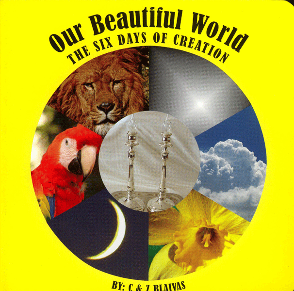 Our Beautiful World — children's book | Judaica Square Lakewood