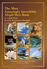 The Most Amazingly Incredible Aleph-Beis Book front cover — Hebrew letters built from real photographs