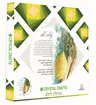 Crystal Craft Lulav Esrog Round — Craft Kit by Chazak Kinder | Judaica Square Lakewood