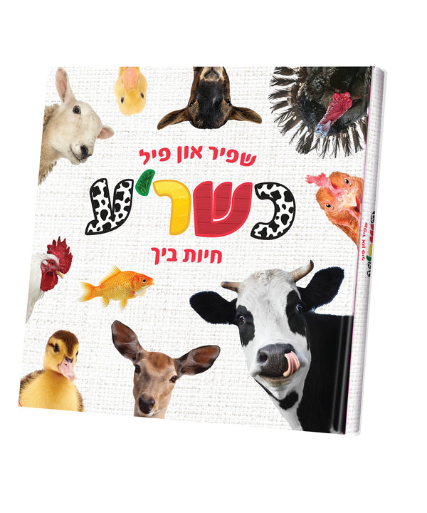 My First Touch and Feel Animal Book Yiddish | Judaica Square Lakewood