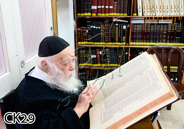 Rav Chaim Learning 20" x 28" - Frame (J10CK29)