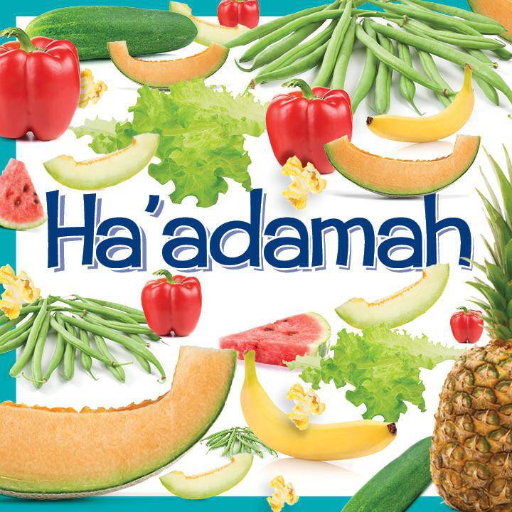 Can You Find It? Brachos — Judaica Press (image 4)
