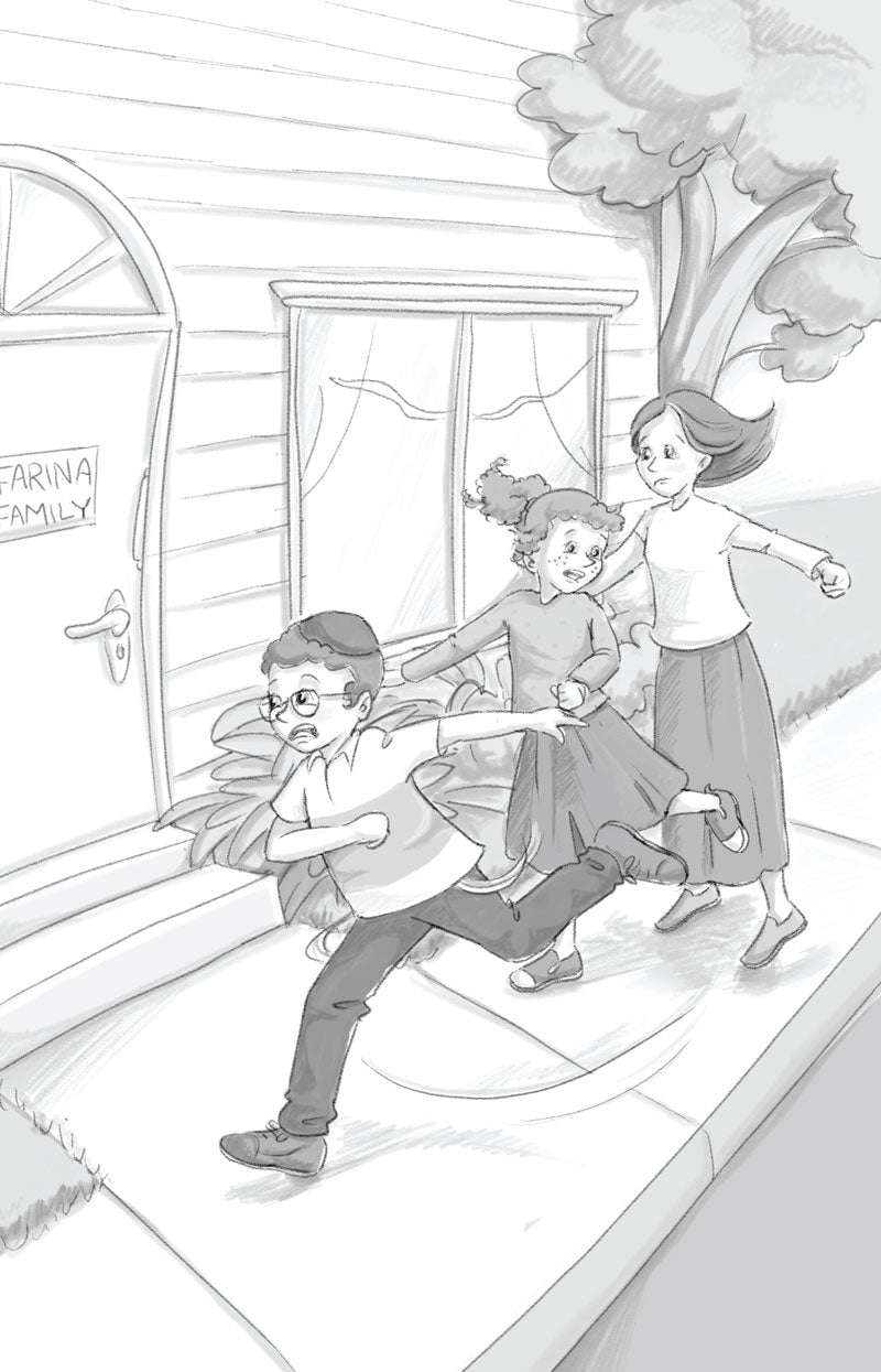 Chanina Farina Braves His Bully — hardcover Jewish children's chapter book by Fradl Adams | Judaica Square Lakewood