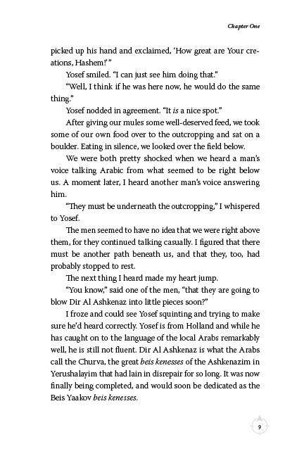 The Churva Plot by Zev Spektor — Judaica Press (image 5)