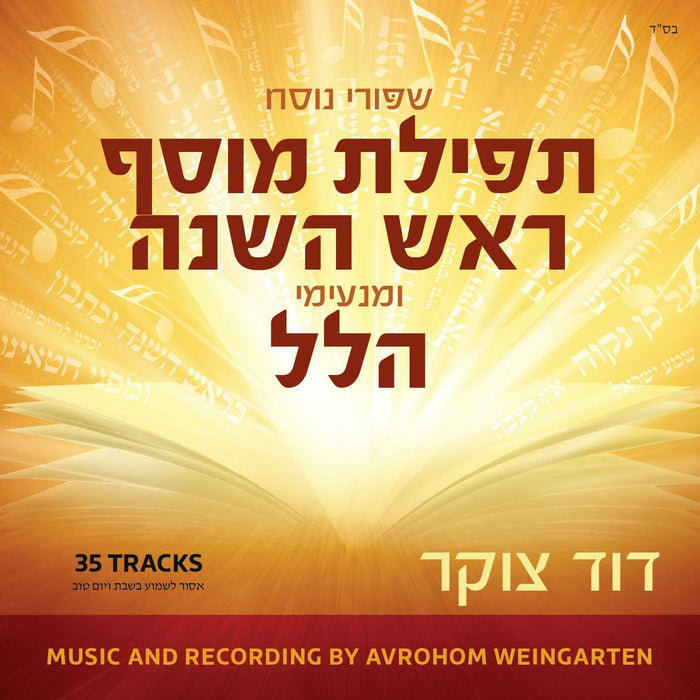 Dovid Cukier - Nusach Collection (USB) — Jewish music USB | Judaica Square Lakewood