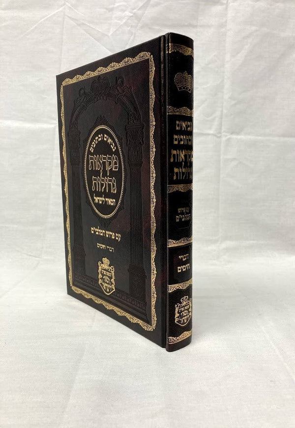 נ"ך מקראות גדולות דברי הימים - המאיר לישראל (BK-NMGDY)