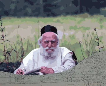 Front cover of Paint By Number - R' Moshe Feinstein