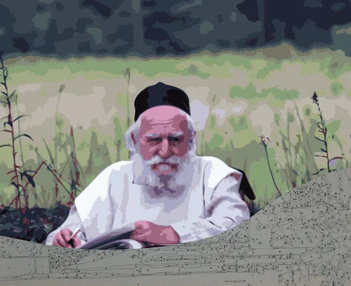 Paint By Number - R' Moshe Feinstein